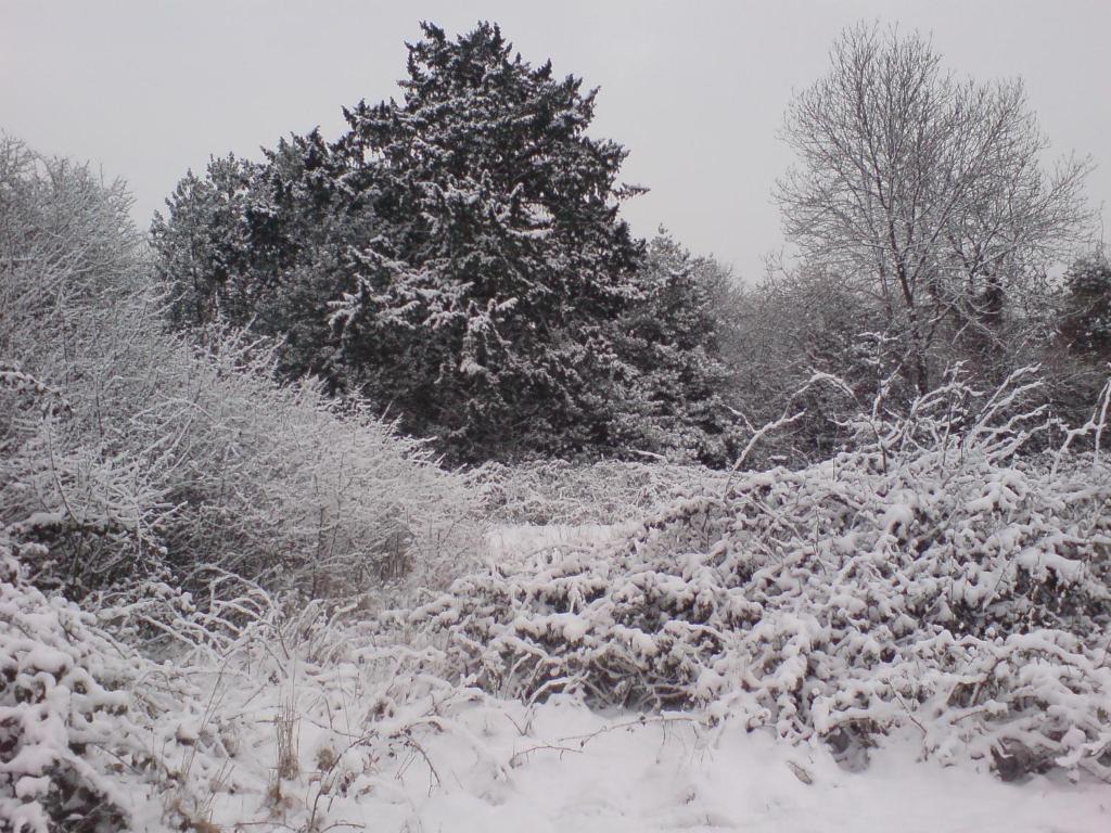 Oldlands Farm Villa Crawley  Bagian luar foto